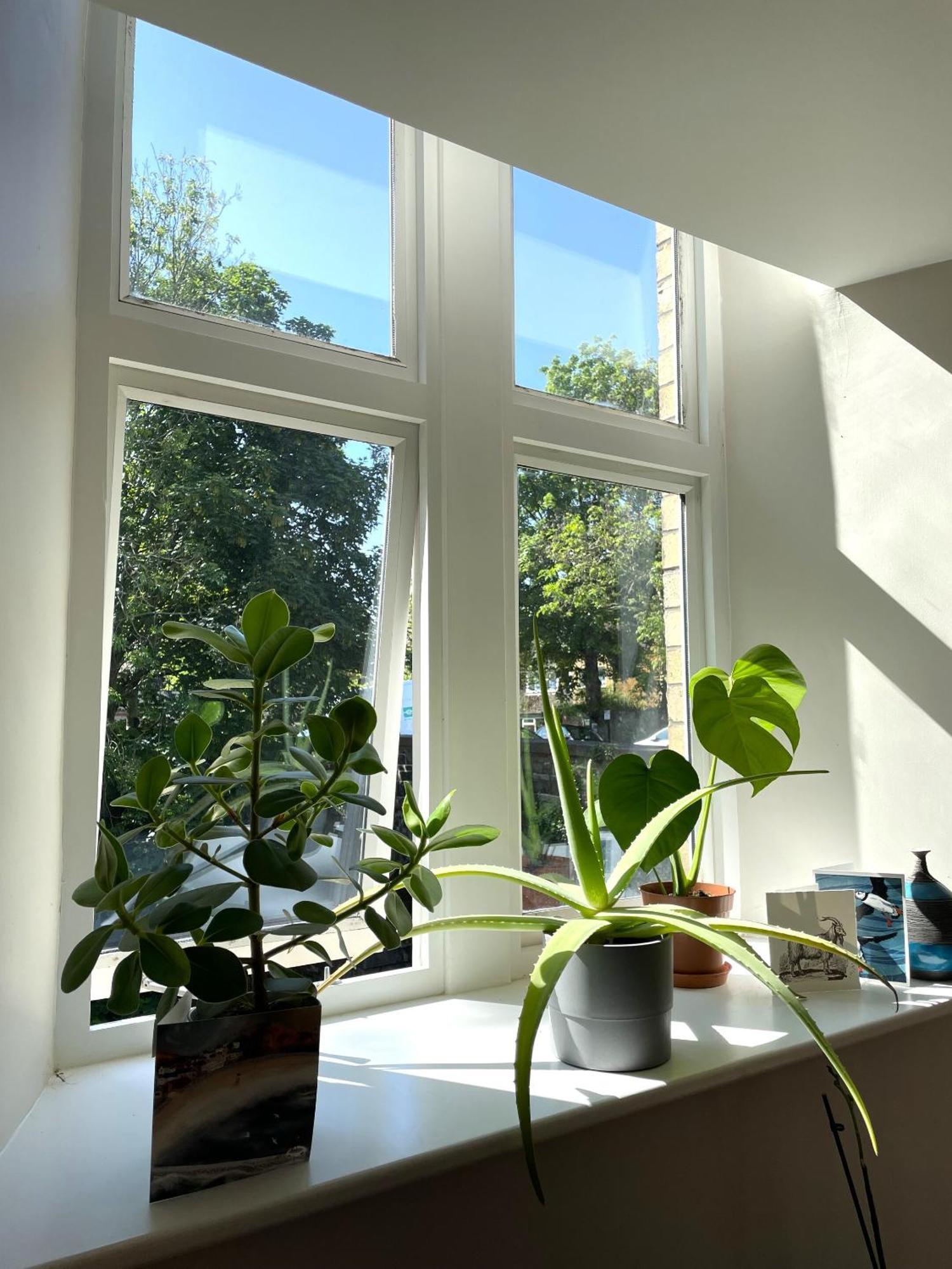 Hampton Hall - Wonderful Converted In Redland *